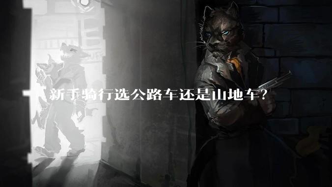 新手骑行选公路车还是山地车？