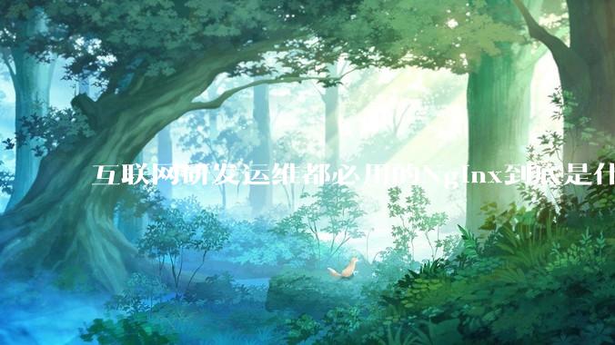 互联网研发运维都必用的Nginx到底是什么呢？