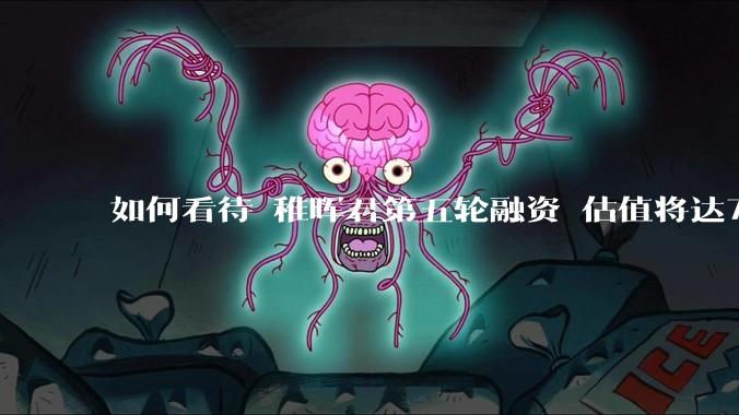 如何看待 稚晖君第五轮融资 估值将达70亿？