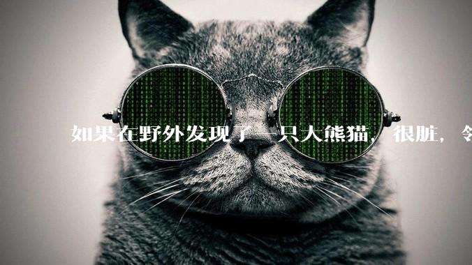 如果在野外发现了一只大熊猫，很脏，领回家给他洗个澡，再养几天，犯法吗？
