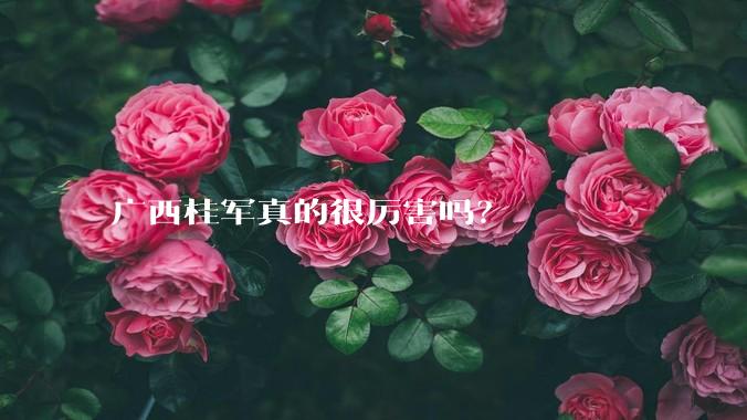 广西桂军真的很厉害吗？