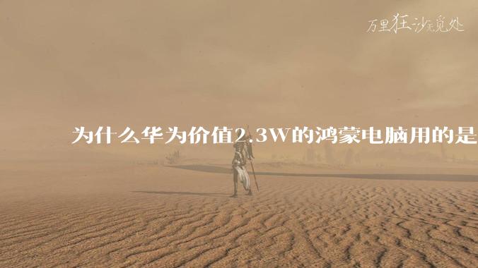 为什么华为价值2.3W的鸿蒙电脑用的是美国西数的SN740固态硬盘？