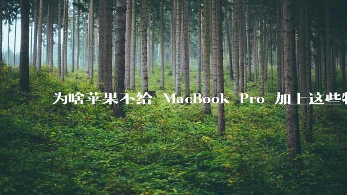 为啥苹果不给 MacBook Pro 加上这些特性？