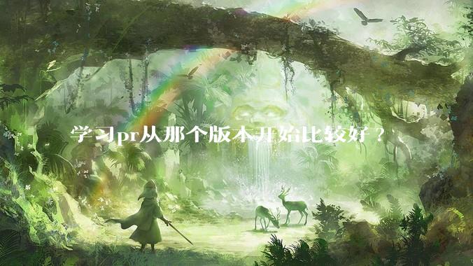 学习pr从那个版本开始比较好?