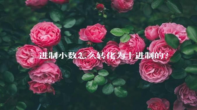 二进制小数怎么转化为十进制的？