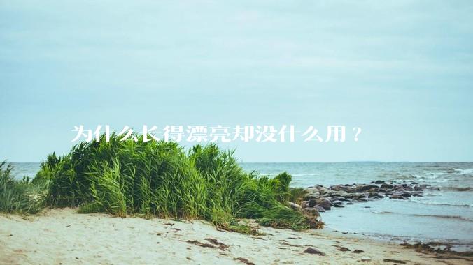 为什么长得漂亮却没什么用?
