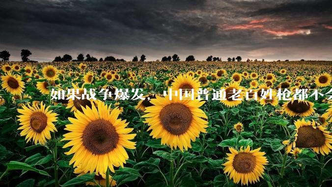 如果战争爆发，中国普通老百姓枪都不会打该怎样自卫？