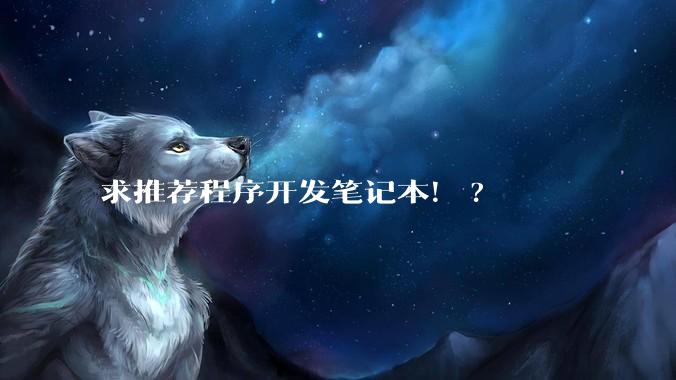 求推荐程序开发笔记本！?