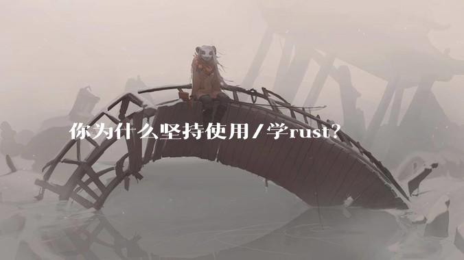 你为什么坚持使用/学rust？