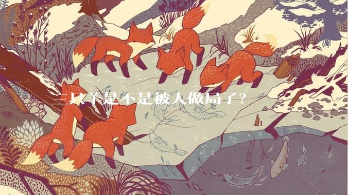 三只羊是不是被人做局了？