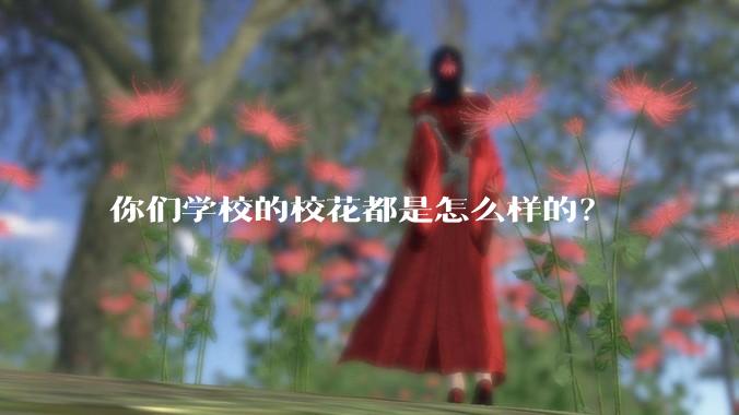 你们学校的校花都是怎么样的？
