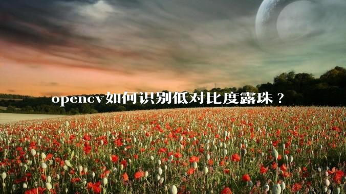 opencv如何识别低对比度露珠?